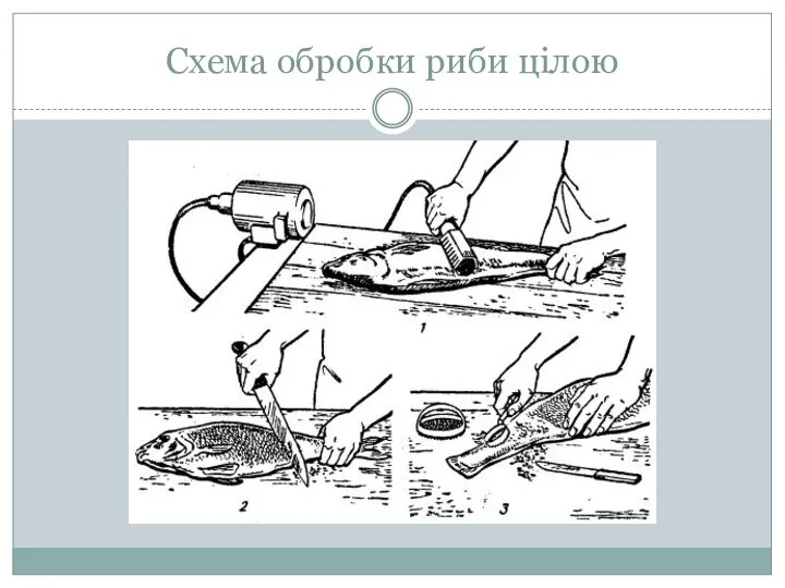 Схема обробки риби цілою