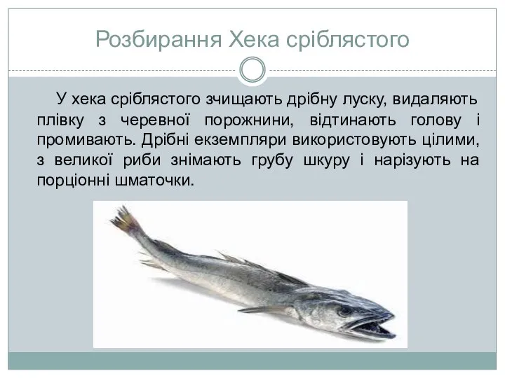 Розбирання Хека сріблястого У хека сріблястого зчищають дрібну луску, видаляють плівку