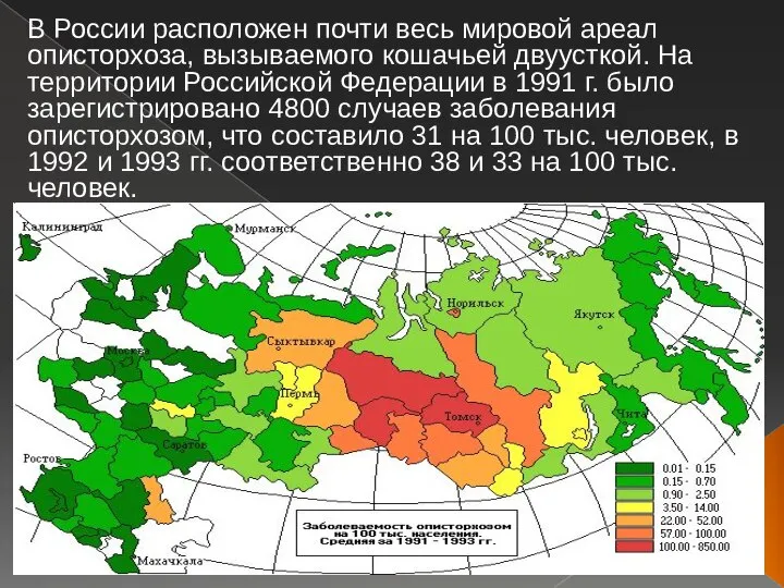 В России расположен почти весь мировой ареал описторхоза, вызываемого кошачьей двуусткой.