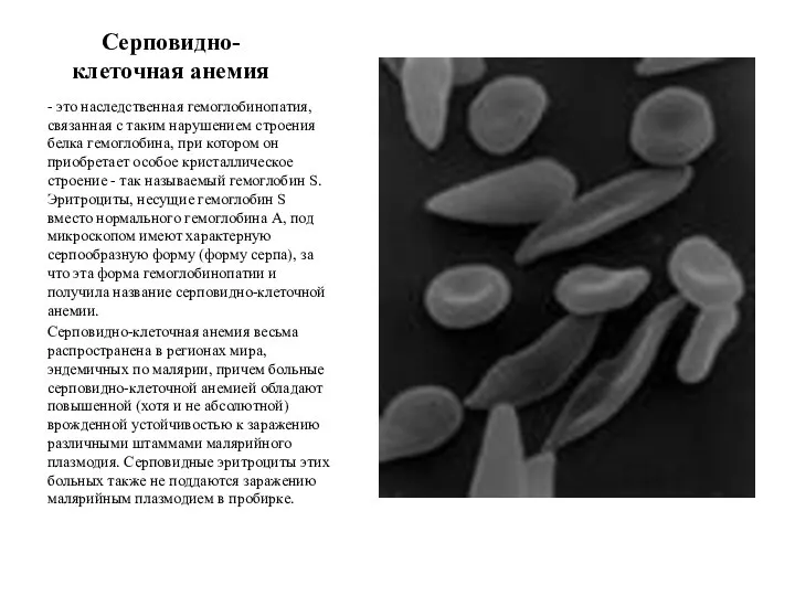 Серповидно-клеточная анемия - это наследственная гемоглобинопатия, связанная с таким нарушением строения