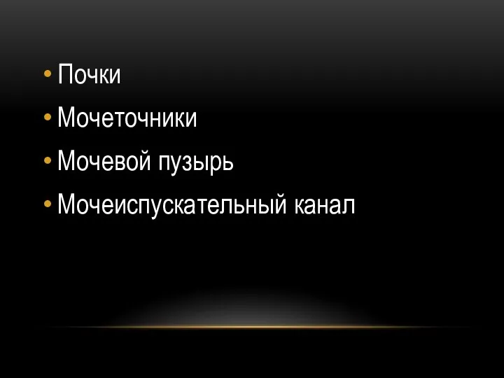 Почки Мочеточники Мочевой пузырь Мочеиспускательный канал