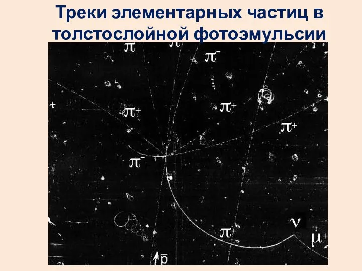 Треки элементарных частиц в толстослойной фотоэмульсии