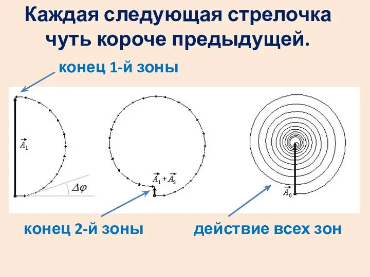 Каждая следующая стрелочка чуть короче предыдущей. конец 1-й зоны конец 2-й зоны действие всех зон