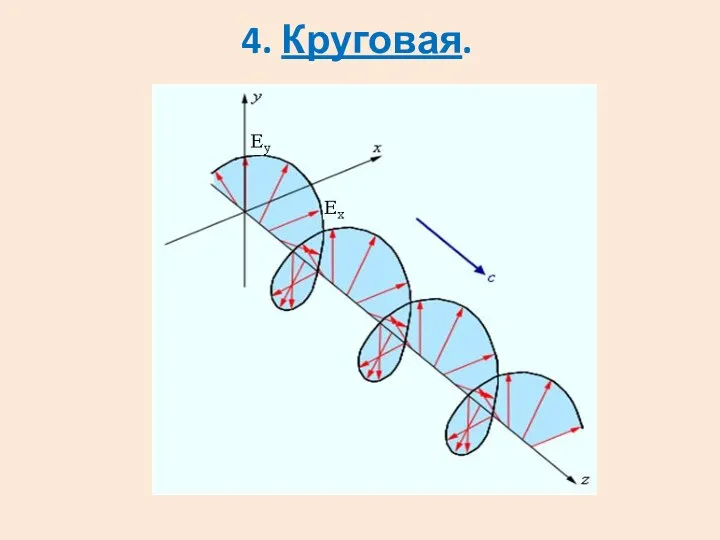 4. Круговая.