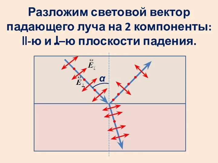 Разложим световой вектор падающего луча на 2 компоненты: ‖-ю и ﻠ–ю плоскости падения. α