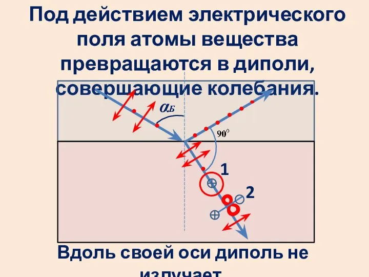 Под действием электрического поля атомы вещества превращаются в диполи, совершающие колебания.