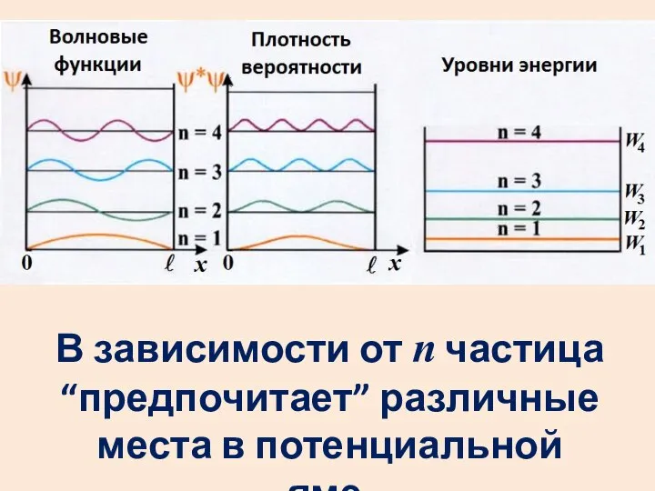 В зависимости от n частица “предпочитает” различные места в потенциальной яме.