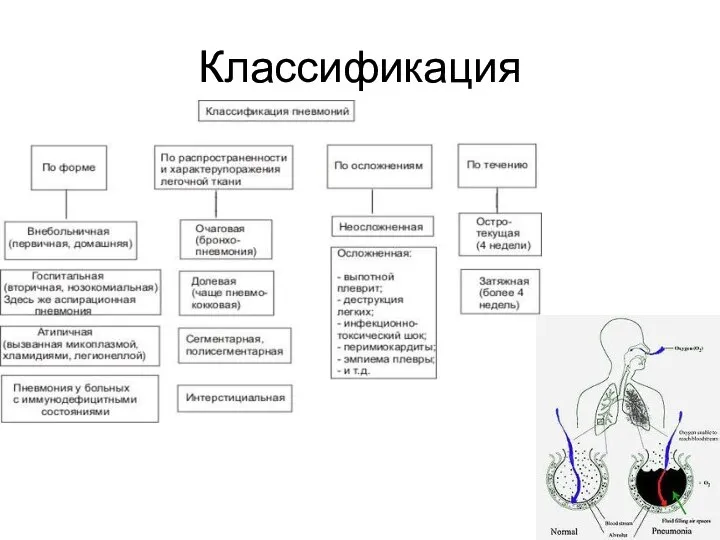 Классификация