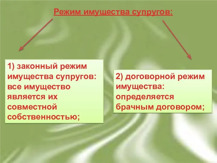 Режим имущества супругов: 1) законный режим имущества супругов: все имущество является