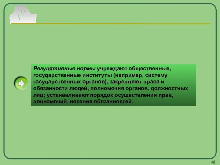 Регулятивные нормы учреждают общественные, государственные институты (например, систему государственных органов), закрепляют