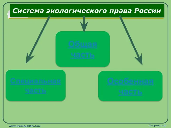 Система экологического права России Company Logo www.themegallery.com Особенная часть Общая часть Специальная часть