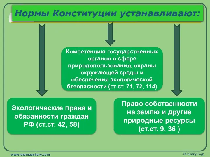 Нормы Конституции устанавливают: Company Logo www.themegallery.com Право собственности на землю и