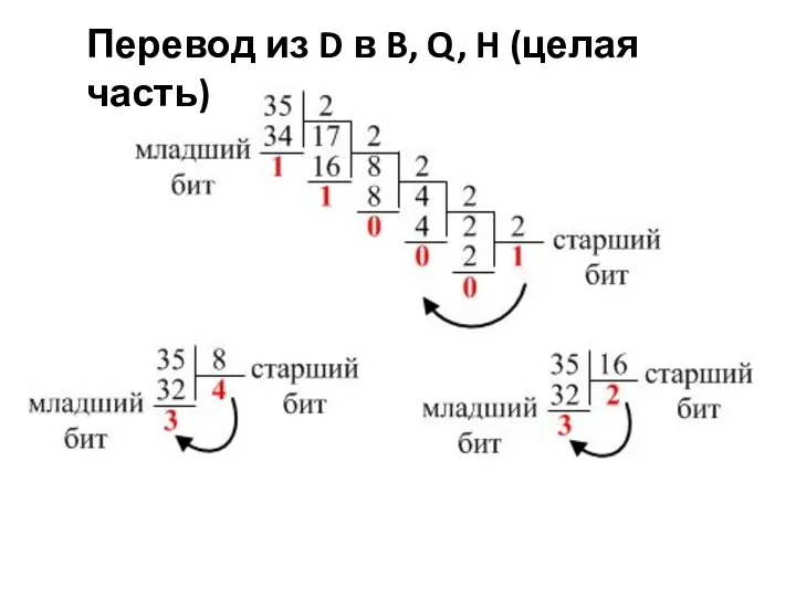 Перевод из D в B, Q, H (целая часть)