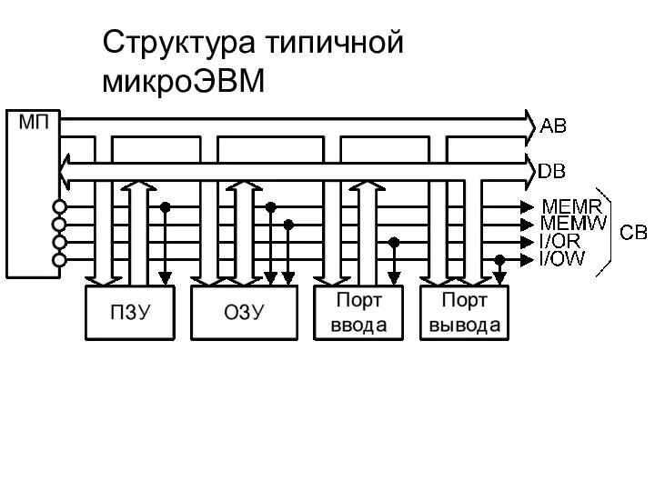 Структура типичной микроЭВМ