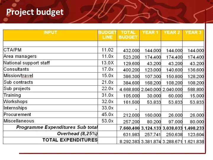 Project budget