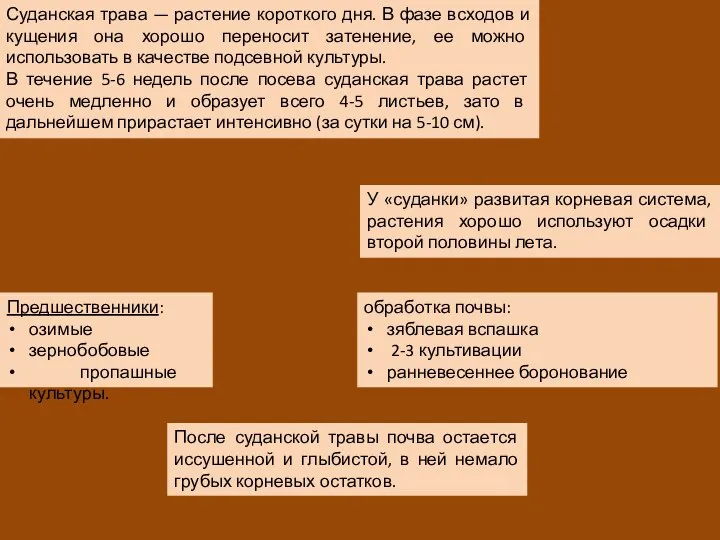 Суданская трава — растение короткого дня. В фазе всходов и кущения