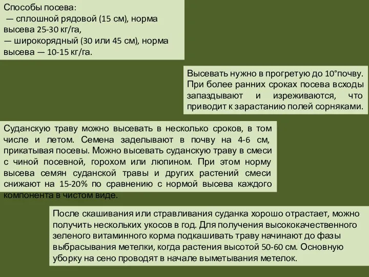 Способы посева: — сплошной рядовой (15 см), норма высева 25-30 кг/га,