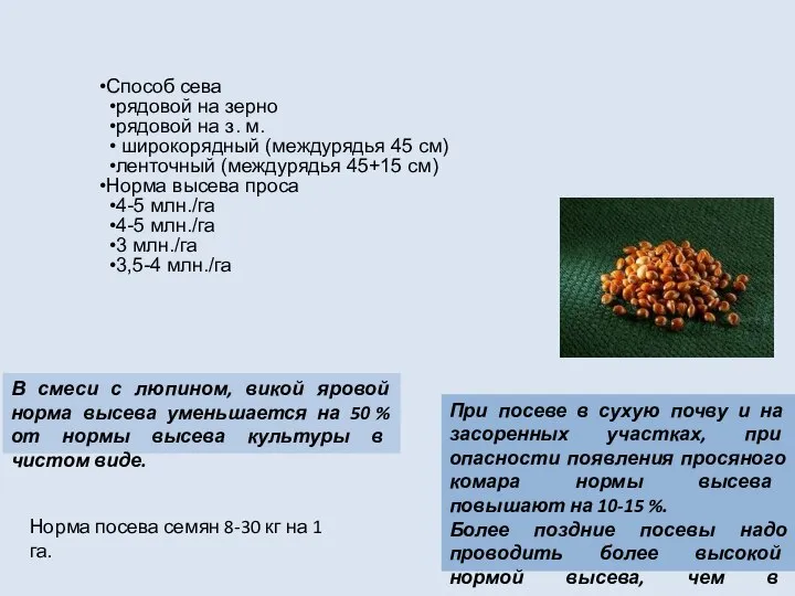 Способ сева рядовой на зерно рядовой на з. м. широкорядный (междурядья