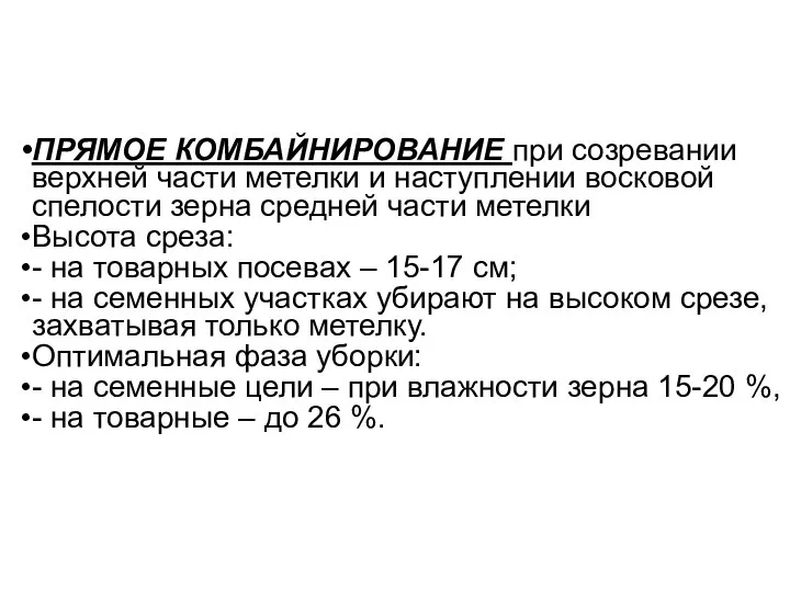 ПРЯМОЕ КОМБАЙНИРОВАНИЕ при созревании верхней части метелки и наступлении восковой спелости