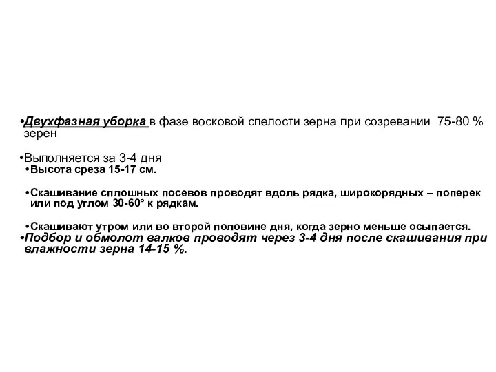 Двухфазная уборка в фазе восковой спелости зерна при созревании 75-80 %