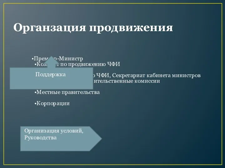 Органзация продвижения Премьер-Министр Комитет по продвижению ЧФИ Офис по продвижению ЧФИ,