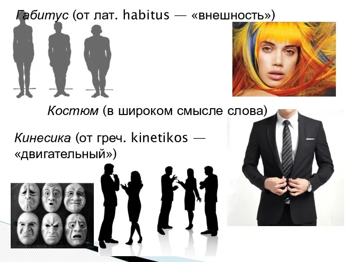 Габитус (от лат. habitus — «внешность») Костюм (в широком смысле слова)