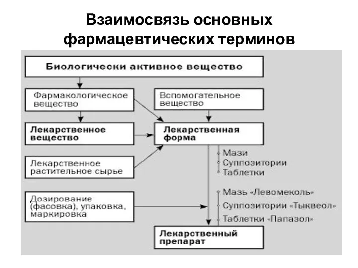 Взаимосвязь основных фармацевтических терминов