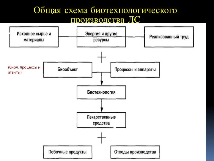 Общая схема биотехнологического производства ЛС (биол. процессы и агенты)