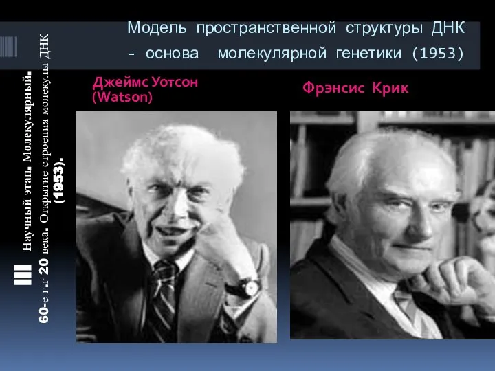 Модель пространственной структуры ДНК - основа молекулярной генетики (1953) Джеймс Уотсон