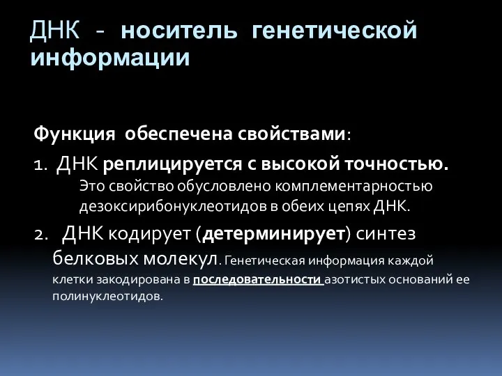 ДНК - носитель генетической информации Функция обеспечена свойствами: 1. ДНК реплицируется