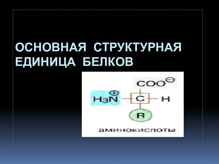 ОСНОВНАЯ СТРУКТУРНАЯ ЕДИНИЦА БЕЛКОВ