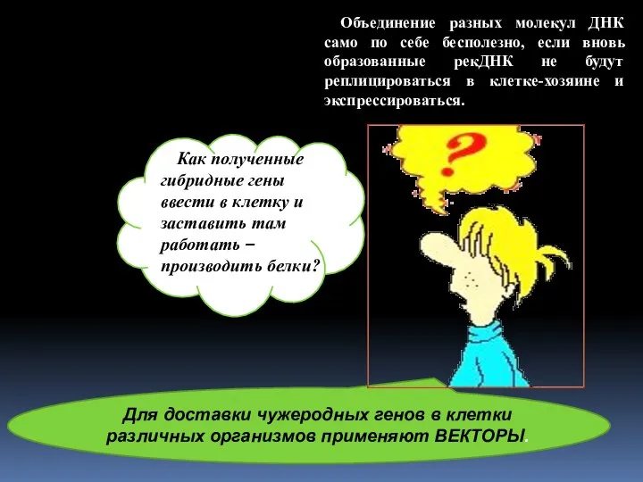 Объединение разных молекул ДНК само по себе бесполезно, если вновь образованные