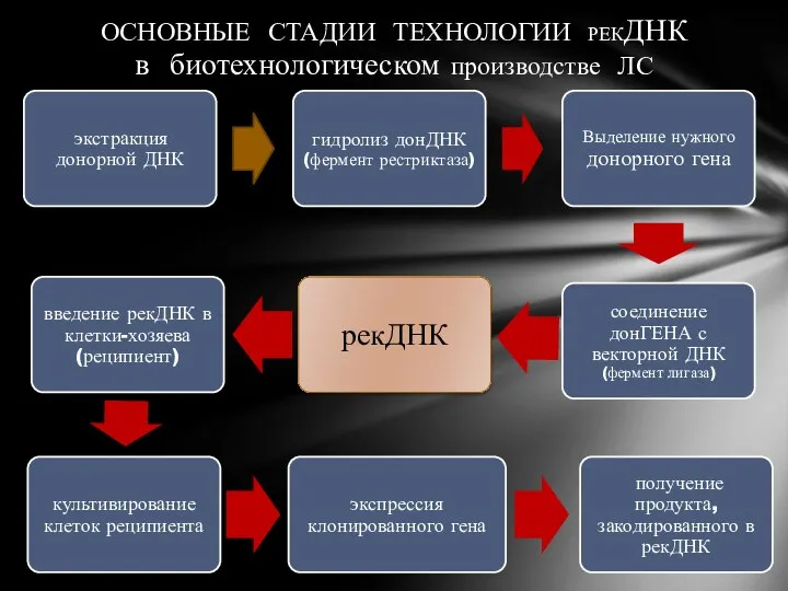 ОСНОВНЫЕ СТАДИИ ТЕХНОЛОГИИ РЕКДНК в биотехнологическом производстве ЛС