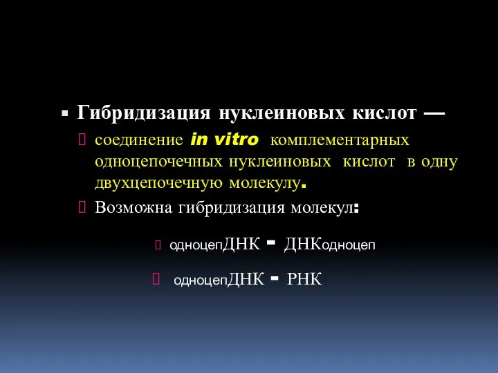 Гибридизация нуклеиновых кислот — соединение in vitro комплементарных одноцепочечных нуклеиновых кислот