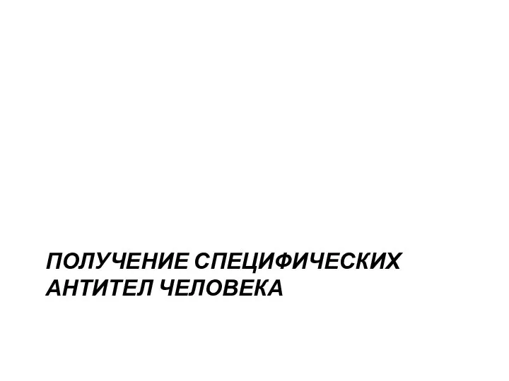 ПОЛУЧЕНИЕ СПЕЦИФИЧЕСКИХ АНТИТЕЛ ЧЕЛОВЕКА