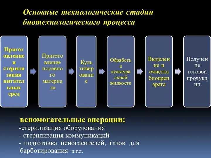 Основные технологические стадии биотехнологического процесса вспомогательные операции: стерилизация оборудования стерилизация коммуникаций