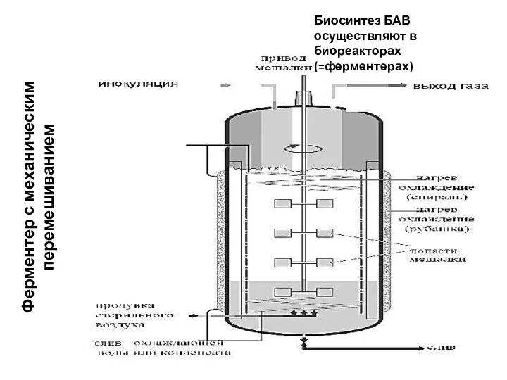 Ферментер с механическим перемешиванием Биосинтез БАВ осуществляют в биореакторах (=ферментерах)
