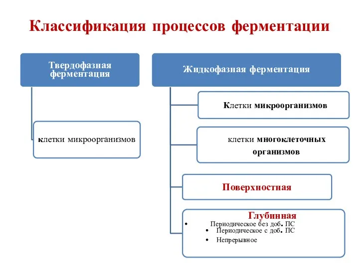 Классификация процессов ферментации