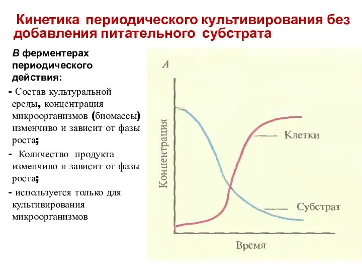 Кинетика периодического культивирования без добавления питательного субстрата В ферментерах периодического действия: