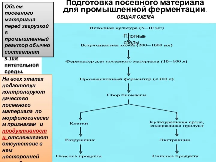 Подготовка посевного материала для промышленной ферментации . ОБЩАЯ СХЕМА Объем посевного