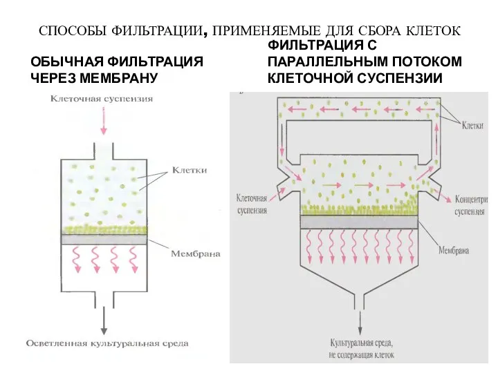 СПОСОБЫ ФИЛЬТРАЦИИ, ПРИМЕНЯЕМЫЕ ДЛЯ СБОРА КЛЕТОК ОБЫЧНАЯ ФИЛЬТРАЦИЯ ЧЕРЕЗ МЕМБРАНУ ФИЛЬТРАЦИЯ С ПАРАЛЛЕЛЬНЫМ ПОТОКОМ КЛЕТОЧНОЙ СУСПЕНЗИИ