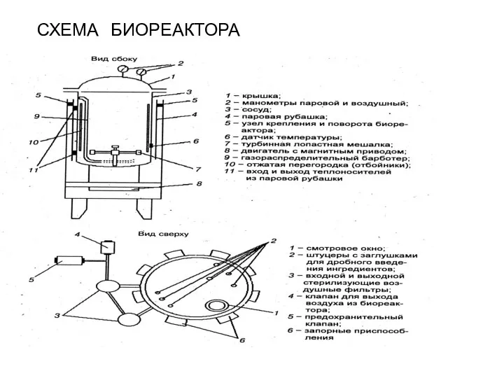 СХЕМА БИОРЕАКТОРА