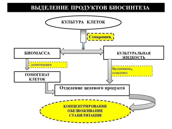 КОНЦЕНТРИРОВАНИЕ ОБЕЗВОЖИВАНИЕ СТАБИЛИЗАЦИЯ КУЛЬТУРА КЛЕТОК ВЫДЕЛЕНИЕ ПРОДУКТОВ БИОСИНТЕЗА Сепарация,