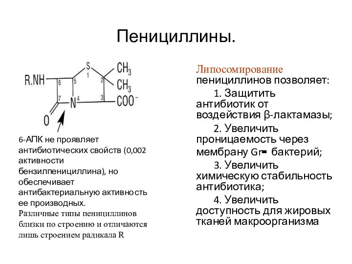 Пенициллины. Липосомирование пенициллинов позволяет: 1. Защитить антибиотик от воздействия β-лактамазы; 2.