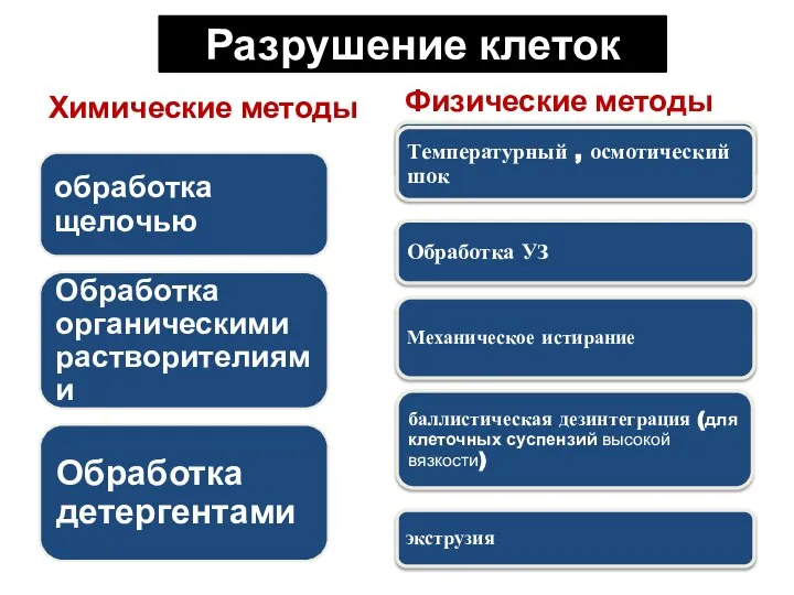 Разрушение клеток Химические методы Физические методы