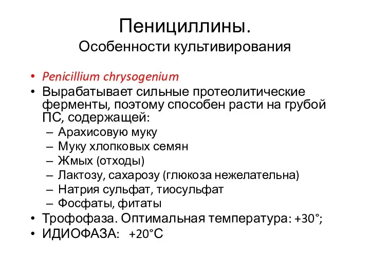 Пенициллины. Особенности культивирования Penicillium chrysogenium Вырабатывает сильные протеолитические ферменты, поэтому способен