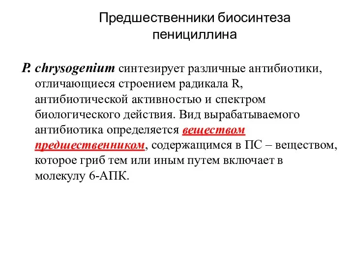 Предшественники биосинтеза пенициллина P. chrysogenium синтезирует различные антибиотики, отличающиеся строением радикала