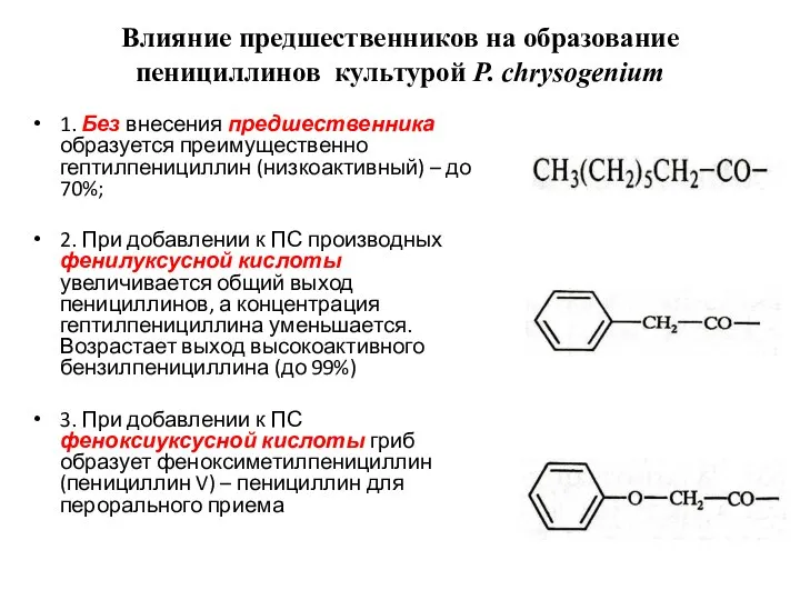 Влияние предшественников на образование пенициллинов культурой Р. сhrysogenium 1. Без внесения