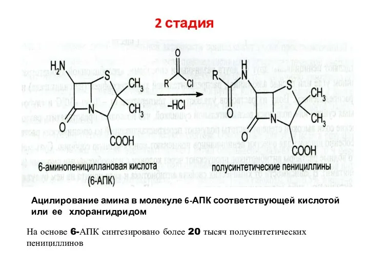 2 стадия На основе 6-АПК синтезировано более 20 тысяч полусинтетических пенициллинов