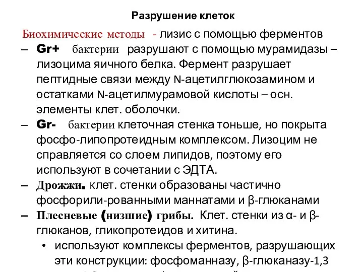 Разрушение клеток Биохимические методы - лизис с помощью ферментов Gr+ бактерии